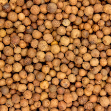 Nové koření celé 100g